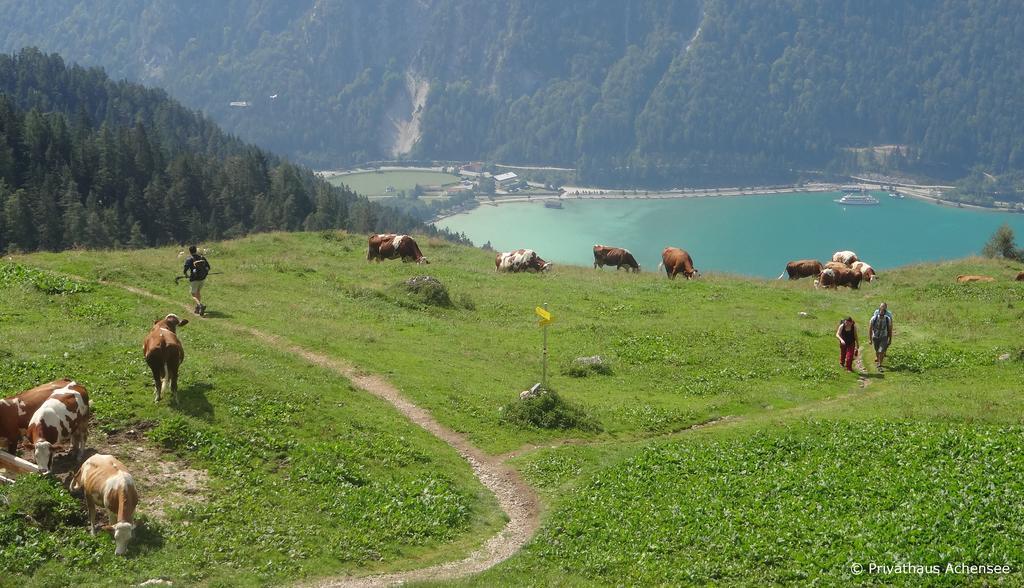 Privathaus Achensee Achenkirch Bilik gambar