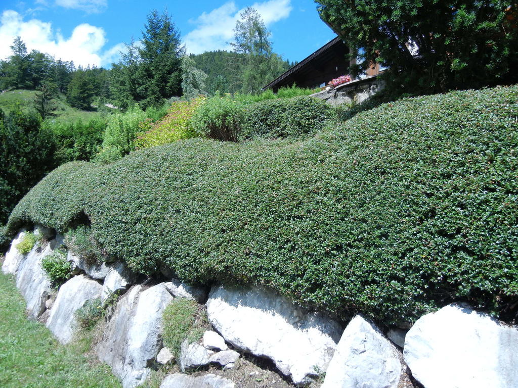 Privathaus Achensee Achenkirch Bilik gambar